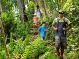 Princeville Ranch Kalihiwai Falls Hike